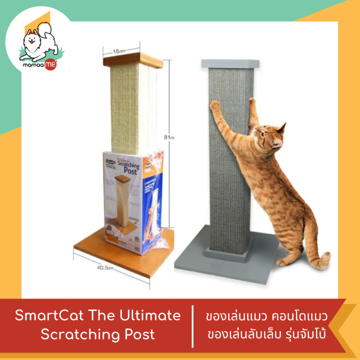 SmartCat The Ultimate Scratching Post ของเล่นแมว คอนโดแมว ของเล่นลับ