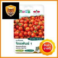 เมล็ดพันธุ์ มะเขือเทศผลกลม จักรพันธ์ 1 ศรแดง 50 เมล็ดTOMATO SEEDS SORNDAENG 50 SEEDS **คุ้มที่สุดแล้วจ้า**