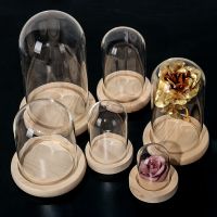 Glass Flower Display Cloche Home Decor Vases Bell Jar Glass Bottle with Wooden Base Dust Cover Display Box Immortal Flower Box