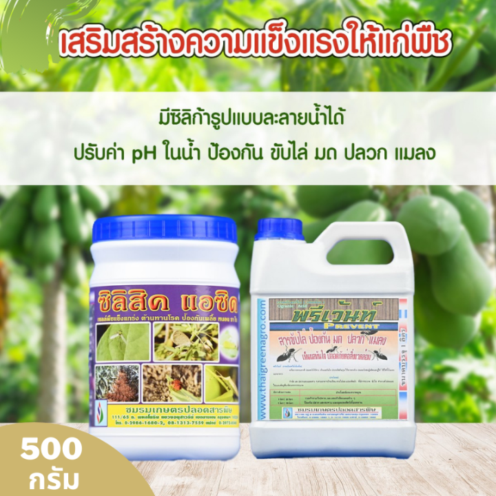 thaigreenagro-silisic-ซิลิสิค-แร่ธาตุซิลิก้าที่สกัดจากหินแร่ภูเขาไฟ-ช่วยเพิ่มความแข็งแกร่งให้แก่ผนังเซลล์-ปุ๋ยบำรุงดิน