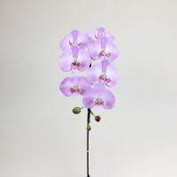 ช่อกล้วยไม้ฟาแลนด์ 7 ดอก กล้วยไม้ประดิษฐ์ก้านยาว Artificial orchid stem