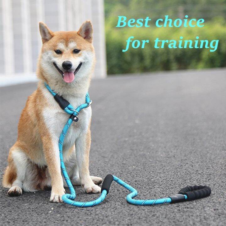 Heavy Duty Pet Dog Thick Slip Leash,Adjustable Collar fit Any Size