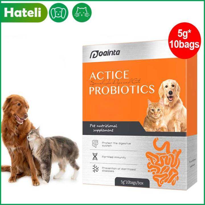Puainta Pet Cat Dog Actice Probiotics Help Regulate The