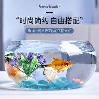 [COD] Turtle tank fish transparent desk creative hydroponic round ball mini desktop