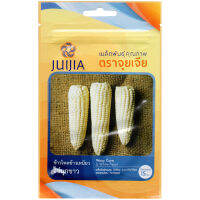 เมล็ดพันธุ์ ข้าวโพดข้าวเหนียว ไข่มุกขาว (WAXY CORN White Pearl) มี 15 กรัม ตราจุยเจีย