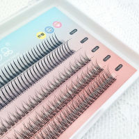 การต่อกิ่งขนตานางฟ้า Yu Xin a พิมพ์ Fishtail Net Red Mixed Pack Natural Simulation Eye Fake Eyelashes คลัสเตอร์หญิงเดี่ยว