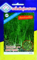 เทียนข้าวเปลือก Sweet Fennel เมล็ดพันธุ์ตราสามเอ อัตราความงอก 60% น้ำหนักสุทธิ 10 กรัม