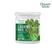 (โปร++) Organic Seeds ผงผักใบเขียว 5 ชนิด Organic Greens Mix Powder (10 x 5g) ส่วนลด ต้นไม้ เมล็ดพันธ์ เมล็ดพืช พรรณพืช