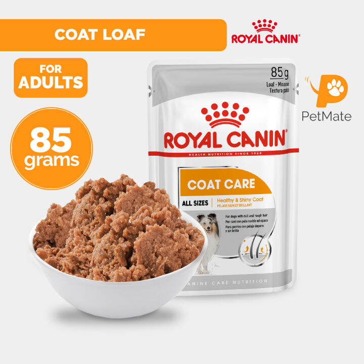 Royal Canin CCN Coat Loaf Adult Wet Dog Food Pouch 85g PetMate canine
