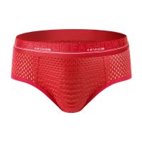 Sexy Mens Briefs Ice Silk Underwear Man Slip Mesh Slips Panty Male With Bag Seamless Intimate Gay Briefs Low Waist Plus Size