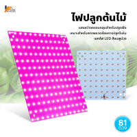 Homemakers ไฟปลูกต้นไม้ LED ไฟช่วยต้นไม้โตเร็ว ไฟเลี้ยงต้นไม้  Full Spectrum LED Grow Light