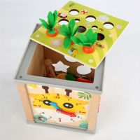 6 In 1 Wooden Montessori Toys Baby Activity Cube Interactive Toy Set Kids Learning Developmental Toys Carrot Harvest Game