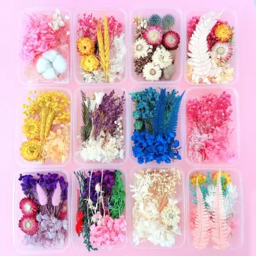 Dried Flower For Candles - Best Price in Singapore - Jan 2024