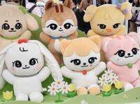 927Kpop ตุ๊กตาผ้ากำมะหยี่รูปเชอร์รี่ IVE Ive ตุ๊กตา Minive Kpop Push ของเล่นการ์ตูน Kawaii Jang Won Young Plushies หนุ่มตุ๊กตาตุ๊กตาของเล่นน่ารักหมอน Gifts506