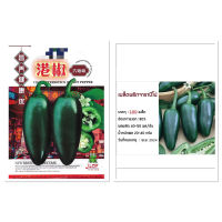 เมล็ด พริกจาราปิโน่ ( Jalapeno Pepper )  40เมล็ด/100 มล็ด   พริกแม็กซิกัน   สายพันธุ์ OP