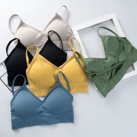 【CW】Women Tank Top Push Up Tube Tops Seamless ssiere Crop Top Intimates ชุดชั้นในสำหรับชุดชั้นในหญิง Backless lette