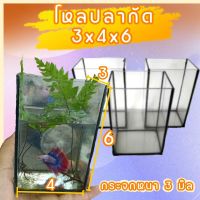 โหลปลากัด เหลี่ยมปลากัด 4x3x6นิ้ว x 3ใบ