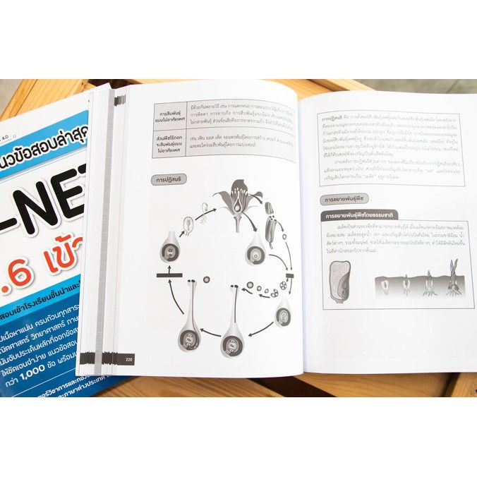 a-หนังสือ-สรุปเข้ม-แนวข้อสอบล่าสุด-o-net-ป-6-เข้