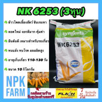 ข้าวโพดเลี้ยงสัตว์ เอ็นเค NK 6253 เบอร์3 (3 หุน) ขนาด 10 กิโลกรัม หมดอายุ 01-2568 ซินเจนทา เมล็ดกลมเล็ก ลอตใหม่ งอกดี ทนแล้ง ทนโรค ผลผลิตสูงมาก