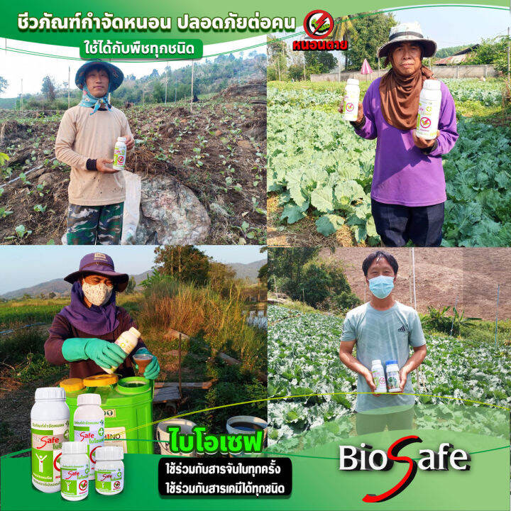 ไบโอเซฟ-bio-safe-กำจัดหนอนศัตรูพืชทุกชนิด-หนอนดื้อยา-หนอนหนังเหนียว-หนอนเจาะ-หนอนแก้ว-หนอนกอ-ขนาด-1-ลิตร