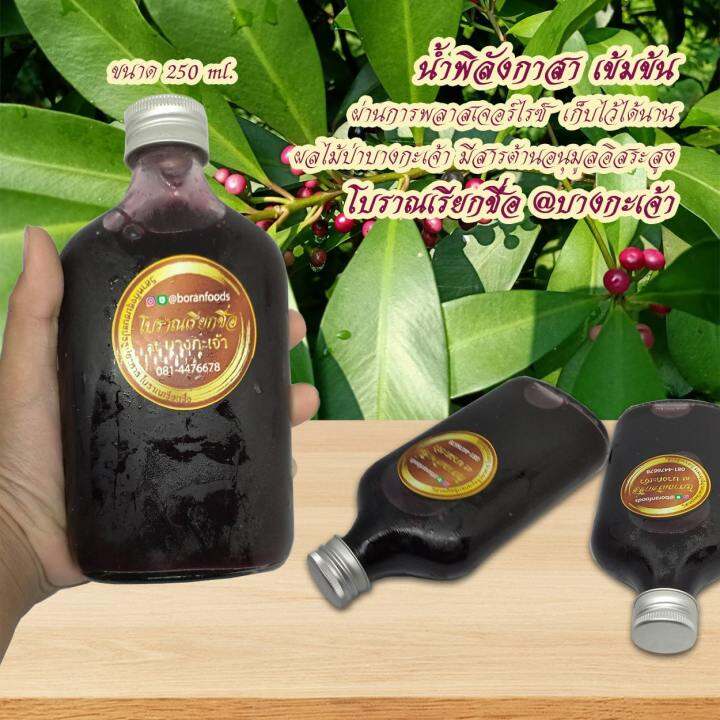 น้ำพิลังกาสาเข้มข้น-ขนาด-250-ml