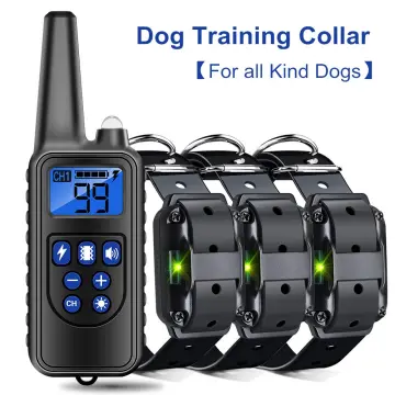 Dog training collar top vibration only