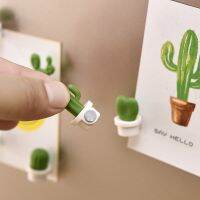 1Set Cute Fridge Magnets Succulent Plant Magnet Button Cactus Refrigerator Message Sticker Magn Home Decor Kitchen Accessories Wall Stickers  Decals