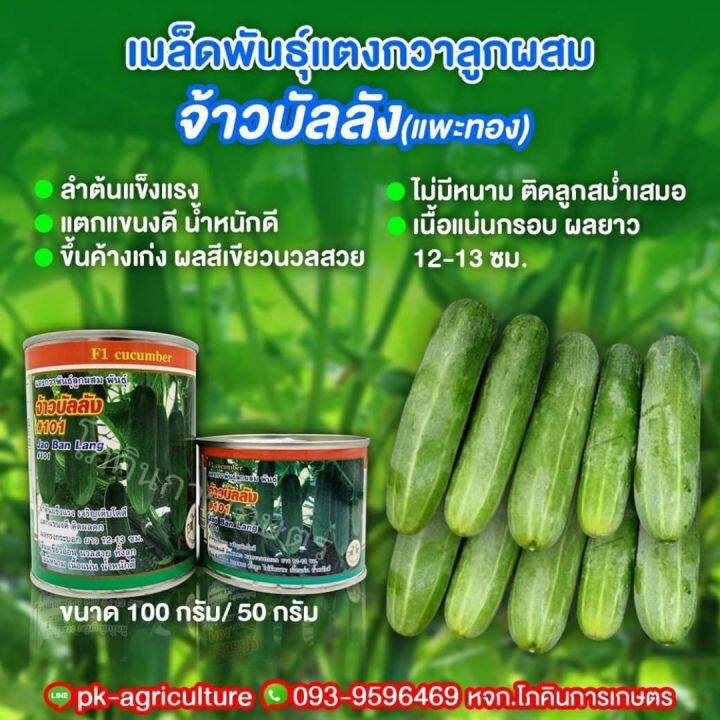 เมล็ดพันธุ์แตงกวา-จ้าวบัลลัง-101-ขนาด-100-กรัม