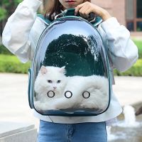 Cat Carrier Bags Breathable Backpack Transport Bag Carrying For Cats Small Dog Travel Space Capsule Cage Bag Carrying