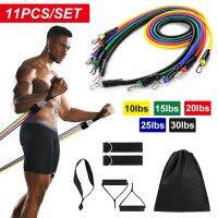 11Pcs Resistance Bands Set Bodybuilding Home Gym Apparatuur Professionele Gewicht Training Fitness Elastische Elastiekjes Expand Exercise Bands