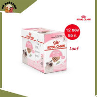 ✨ส่งฟรี ส่งด่วน[ยกกล่อง 12 ซอง] Royal Canin Kitten Pouch Loaf อาหารเปียกลูกแมว อายุ 4-12 เดือน จัดส่งฟรี ✨