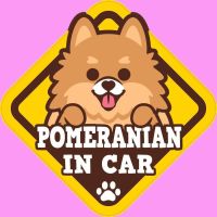 ( โปรสุดคุ้ม... ) สั่งทำ สติ๊กเกอร์ ติดรถ " BOC9 Pomeranian " สติ๊กเกอร์ติดรถ แต่งรถ สุดคุ้ม สติ ก เกอร์ ติด รถ สติ๊กเกอร์ ออฟ โร ด สติ ก เกอร์ ข้าง รถ กระบะ สติ ก เกอร์ ข้าง รถ สวย ๆ