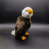 เข็มขัดนกอินทรีย์ใหญ่หัวขาว High Felity อนิเมะน่ารัก Plushie Raptor Falcon ของเล่นตุ๊กตาสัตว์เสมือนจริงจำลองตุ๊กตาของเล่น Kawai ของขวัญ