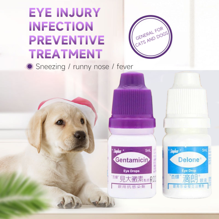 Going up Eye Drops For Pets Cat and Dogs Gentamicin Eye Drops for Pets