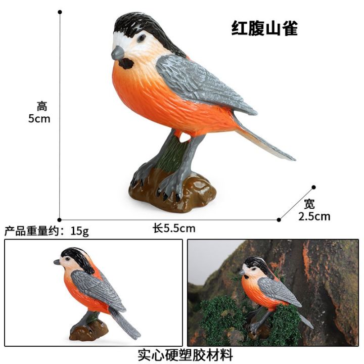 simulation-model-of-birds-eagle-owl-wildlife-seagull-peregrine-falcon-bald-eagles-children-cognitive-toys