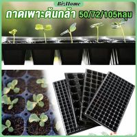 BizHome ถาดเพาะต้นกล้า  ถาดเพาะชำ ถาดเพาะเมล็ด ใช้ซ้ำได้ Seedling Tray