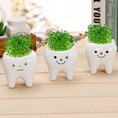 Tooth-shaped Planter Pot DIY Small Plant Pot Small Succulent Planter DIY Ceramic Flower Pot Ceramic Plant Pot