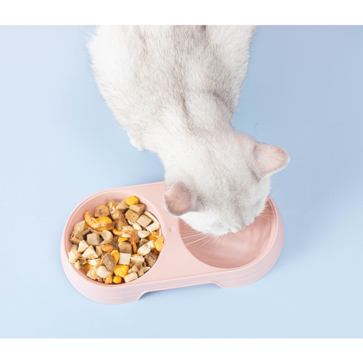 pet-supplies-bowl-macaron-pet-bowl-candy-colored-pet-bowl-pet-food-bowl-cat-feeding-bowl-plastic-cat-bowl