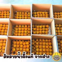 พร้อมส่ง ส้มสดๆจากสวน กล่อง 10 กิโล เบอร์ 6 มีให้เลือกหลายเบอร์ ส้มฝาง ส้มสายน้ำผึ้ง เพิ่มวิตามิน C ส้ม