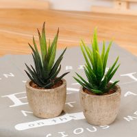 Mini Artificial Succulent Plastic Artificial Bonsai Plants Fake Decorative Ball Plants Simulation Mini Plants for Home Decor
