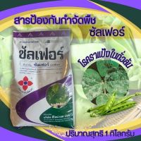 ซัลเฟอร์ (กำมะถัน) 1กิโลกรัม สารป้องกันกำจัดพืช โรคราแป้งในถั่วลันเตา