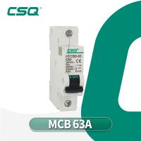 CSQ MCB 1P/2P/3P/4P 6A 10A 16A 20A 25A 32A 40A 50A 63A Miniature Circuit Breaker 6KA 230V/400V 50HZ with CE Certification Electrical Circuitry Parts