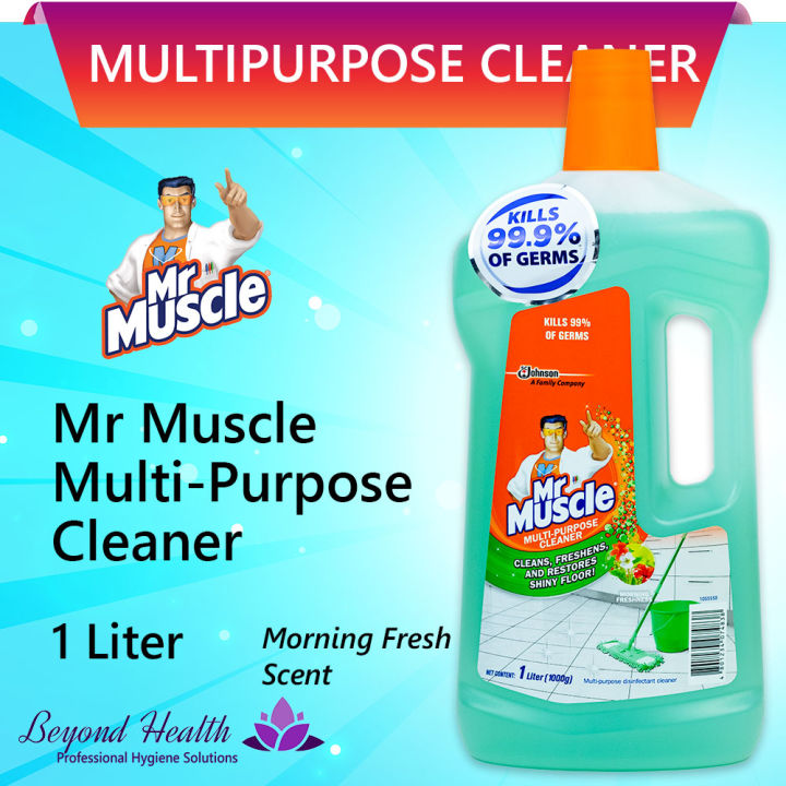 Mr. Muscle Multi-Purpose Disinfectant Cleaner 1 Liter Morning Fresh ...