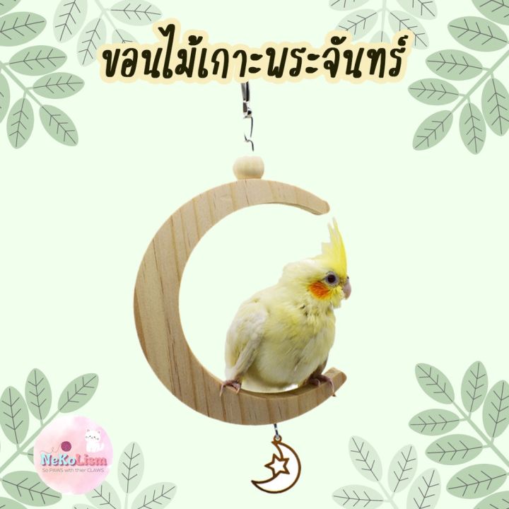 ขอนไม้เกาะพระจันทร์เสี้ยว-ที่เกาะนก-ขอนเกาะนก-คอนเกาะนก-ของล่นนก-bird