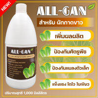 ปุ๋ยน้ำผักกาดขาวALL GAN1000mlป้องกันแมลงตัวเล็กๆห่อแน่นใบสวยหวานกรอบสูตรเข้มข้นชนิดพิเศษใช้ได้นานจากธรรมชาติ100%ช่วยฟื้นฟูและบำรุงผลผลิต