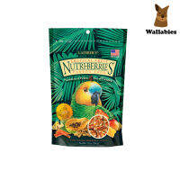 Lafeber Tropical Fruit Nutri-Berries Parrots (284g.) อาหารนกแก้วขนาดกลาง ใหญ่ ทรอพพิคอลฟรุตเกรดพรีเมี่ยมออร์แกนิค