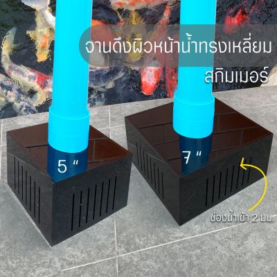 จานดึงผิวหน้าน้ำ ทรงสี่เหลี่ยม สกิมเมอร์ ขนาด 5 นิ้ว 7 นิ้ว บริการเก็บเงินปลายทาง สำหรับคุณ