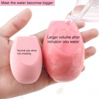 Ohfulls 1pcs Makeup Sponge Blender WetDry Face Foundation Use Cosmetic Puff Beauty Blender