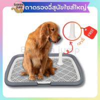 BJ Pet - ห้องน้ำสุนัข ขนาดใหญ่ ถาดรองฉี่สุนัข แถมเสา มีตะแกรงรองถาด ทำความสะอาดง่าย สำหรับสุนัช