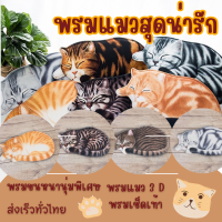 พรมเช็ดเท้า พรมเช็ดเท้ากำมะหยี่รูปแมว 3D ขนาด40x74 cm  พรมเช้ดเท้า  ผ้าเวอลัวพิมพ์ลายน้องแมว งานพิมพ์บนผ้าสีสวยสัมผัสนุ่ม ซับน้ำได้ดี